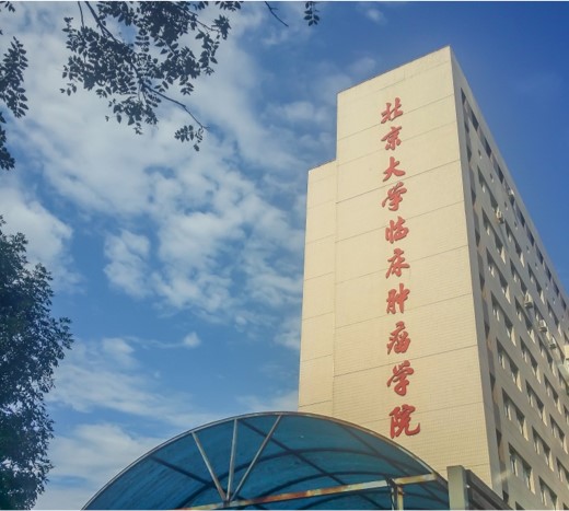 北京大学肿瘤医院