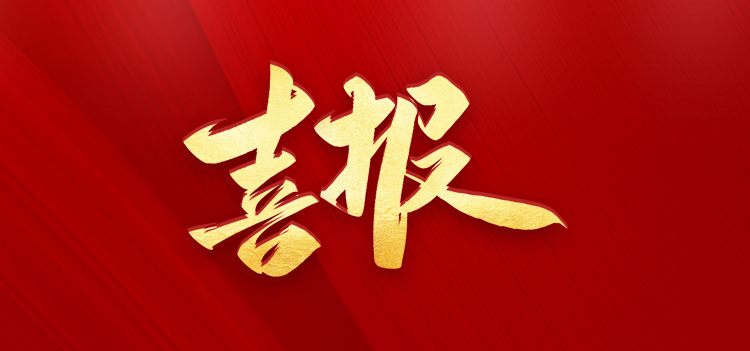 双星闪耀！院士领衔评审，中瑞恒两项科技创新成果获评“国际先进”水平